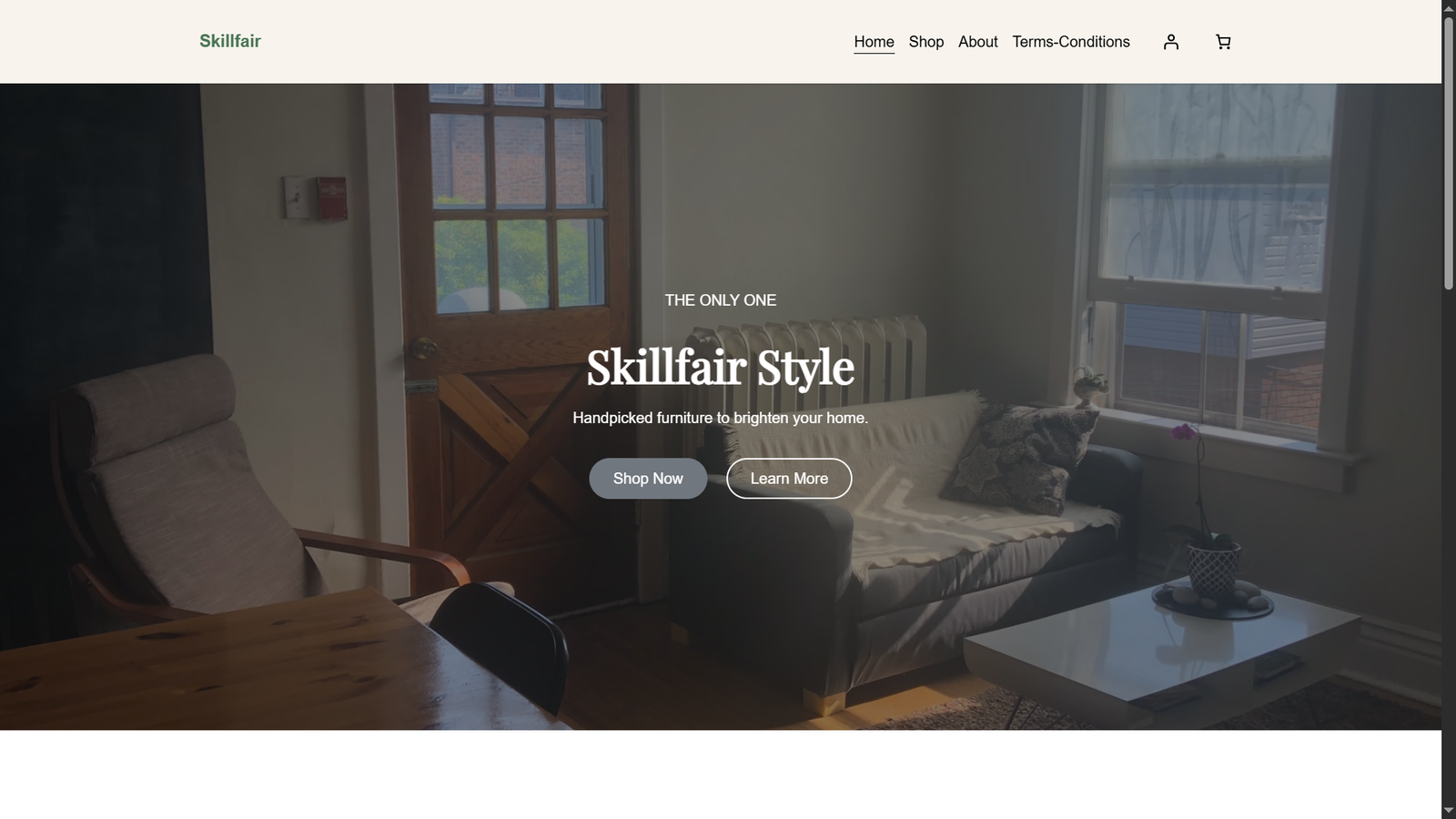 Screenshot placeholder for ecommerce storefront